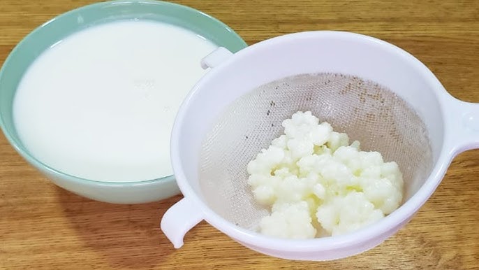 Kefir de Leite